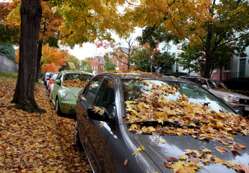 Herbstvibes an der Zapfsäule: Wie Sie bei Günther in Lahr im Herbst zum Sparfuchs werden