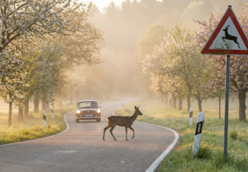 Fr&uuml;hlingsanfang und Zeitumstellung: Was Autofahrer jetzt wissen m&uuml;ssen