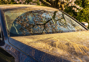 Pollen, Bl&uuml;tenstaub, Saharastaub: Warum Ihr Auto jetzt in die W&auml;sche muss
