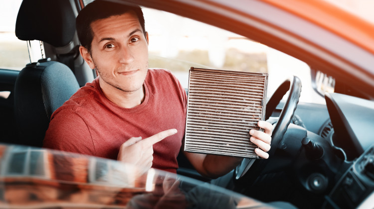 Aufblühen im Frühling: Die beste Autowäsche für die Pollensaison