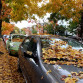 Herbstvibes an der Zapfsäule: Wie Sie bei Günther in Lahr im Herbst zum Sparfuchs werden