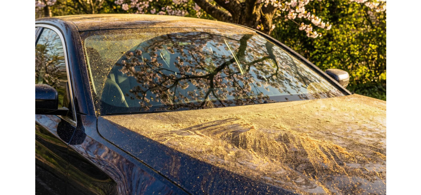 Standard Post with Image